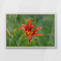 PN-093W062