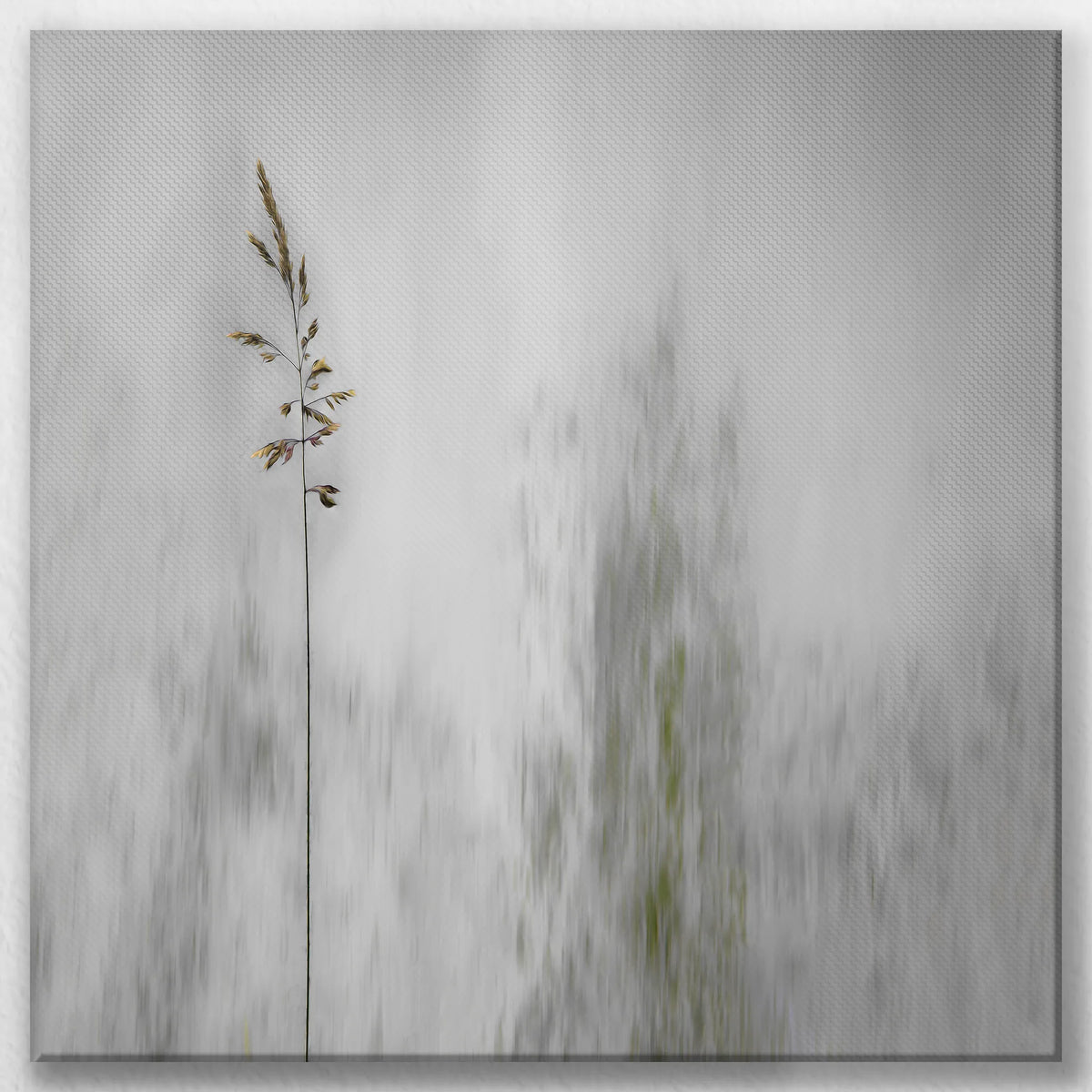 LW-050W050