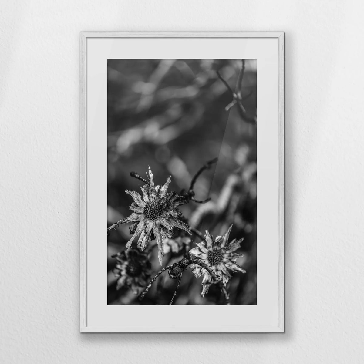 PWP062W093