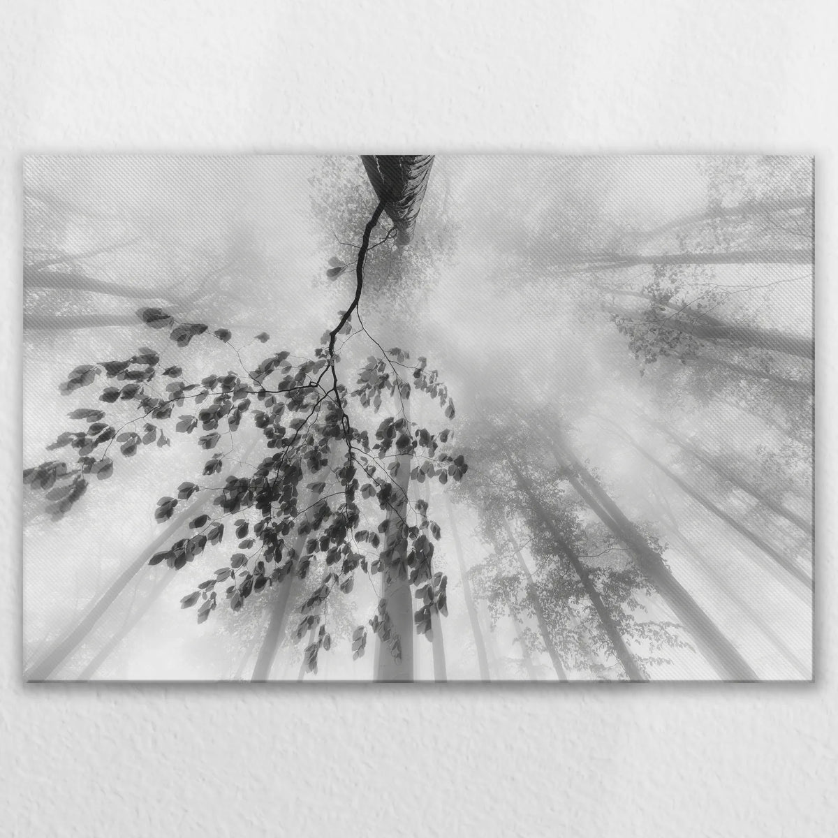 LW-120W080