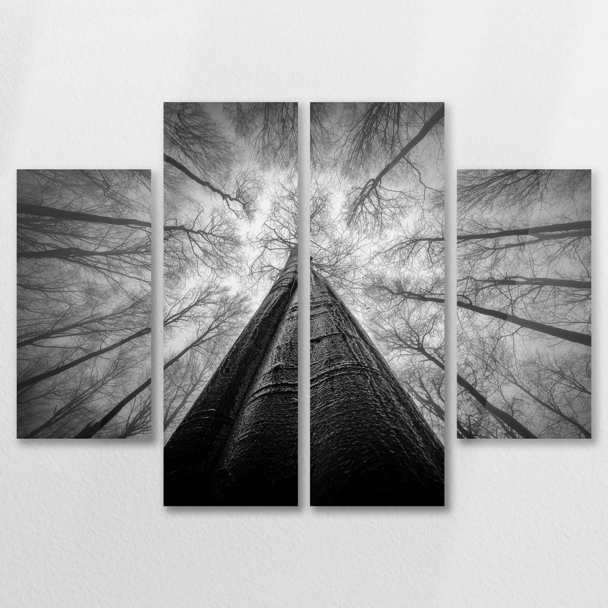 AC-080V060