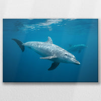 LW-060W040