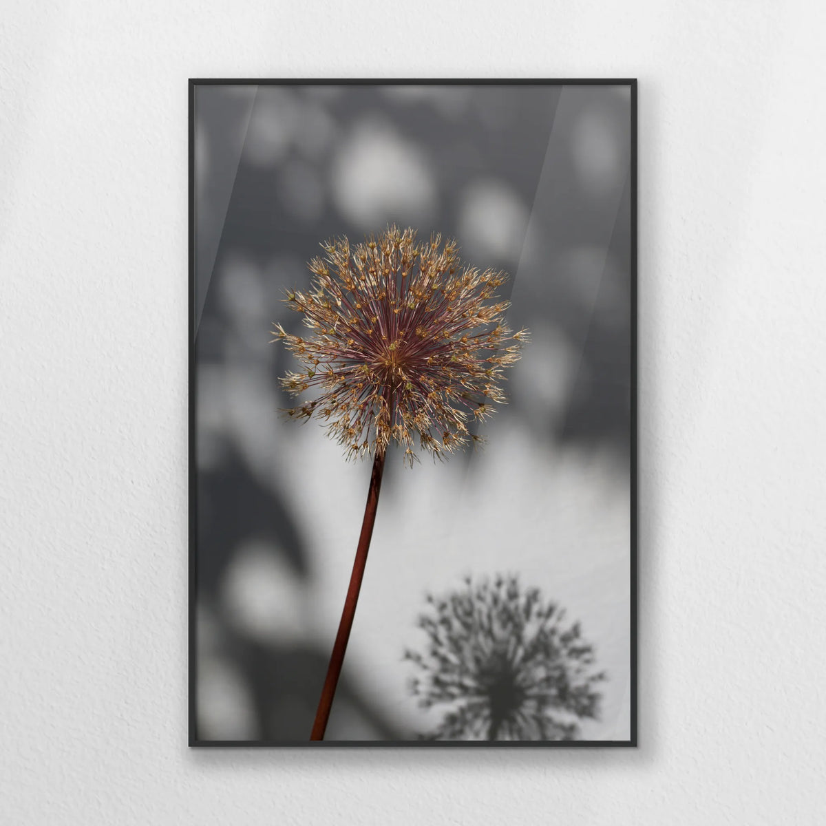 PB-062W093