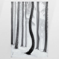 PO-060W090