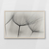 PN-093W062