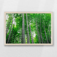 PN-060W040