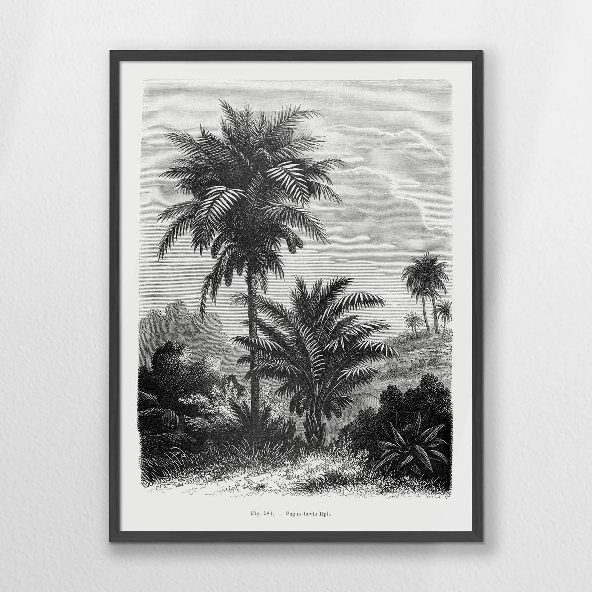 PK-060W080