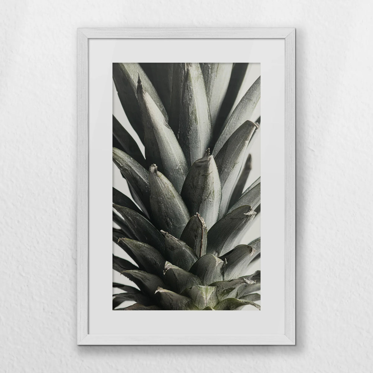PWP040W060