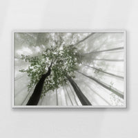PW-093W062