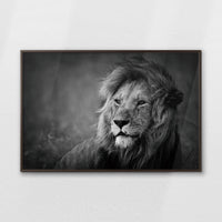 LWN120W080