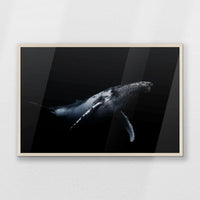PN-093W062