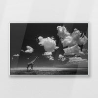 PS-093W062
