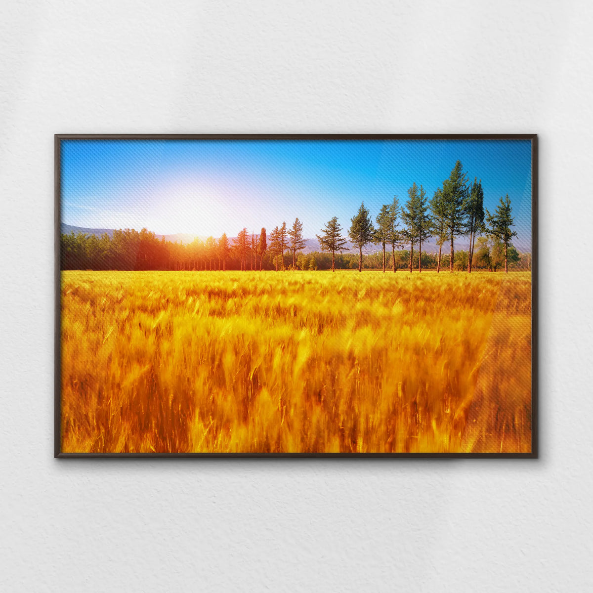 LWN120W080