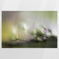 PO-120W080