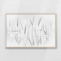PN-093W062