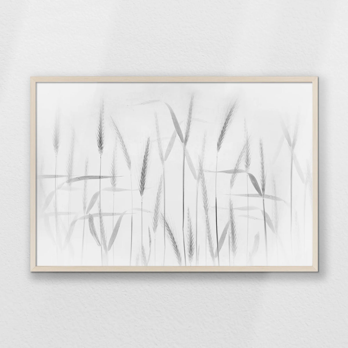 PN-093W062