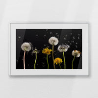 PSP093W062