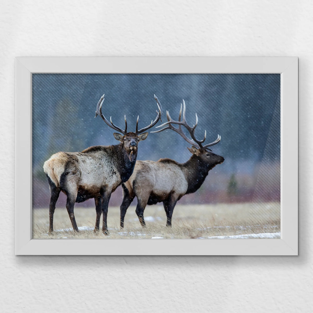 LWW030W020