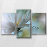 LW-060T040