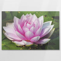 AC-075W050