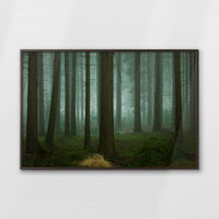 LWN120W080