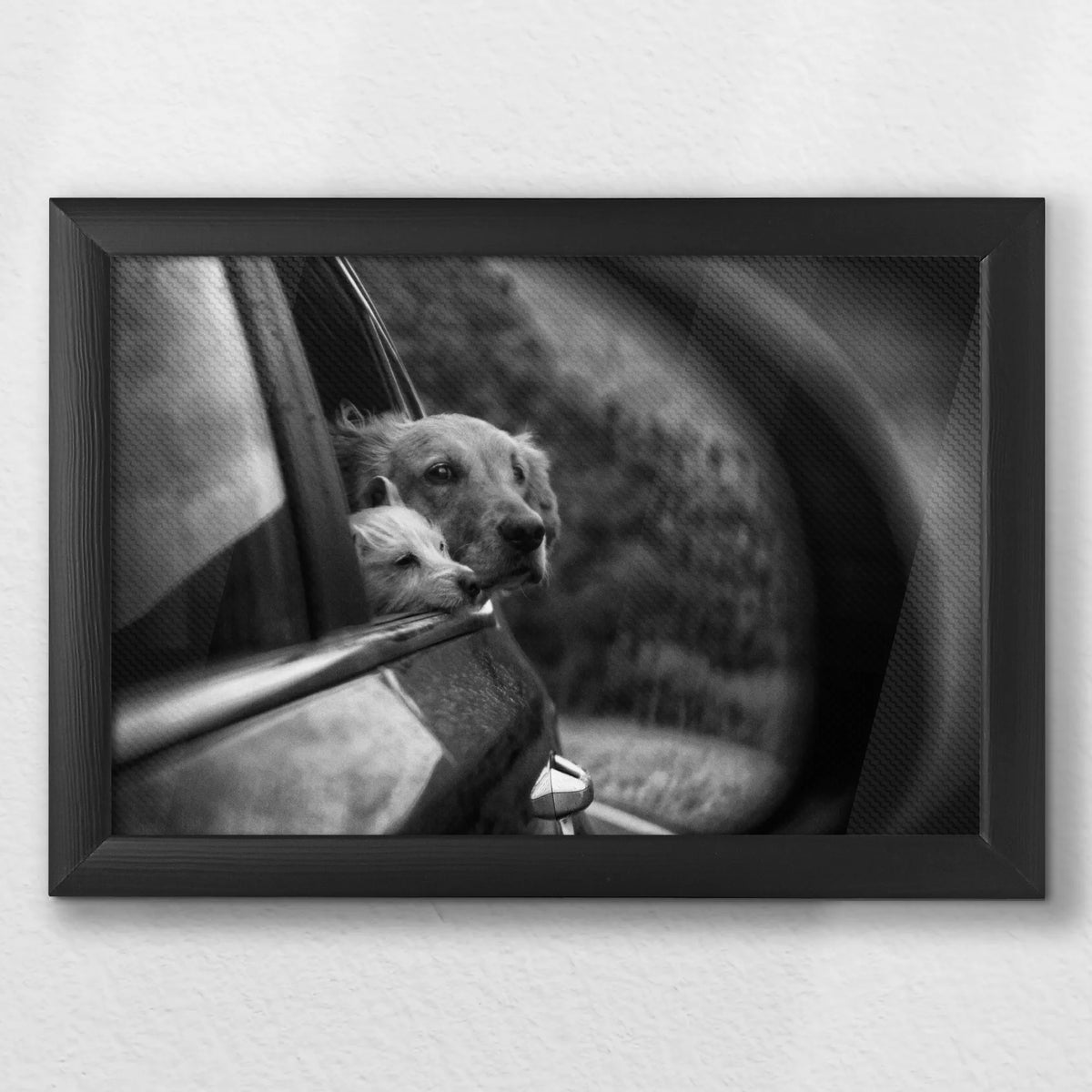LWB030W020