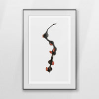 PBP070W100