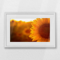 PWP060W040