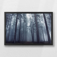 LWB060W040