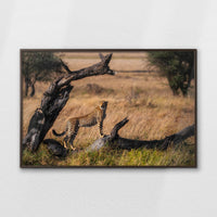 LWN120W080
