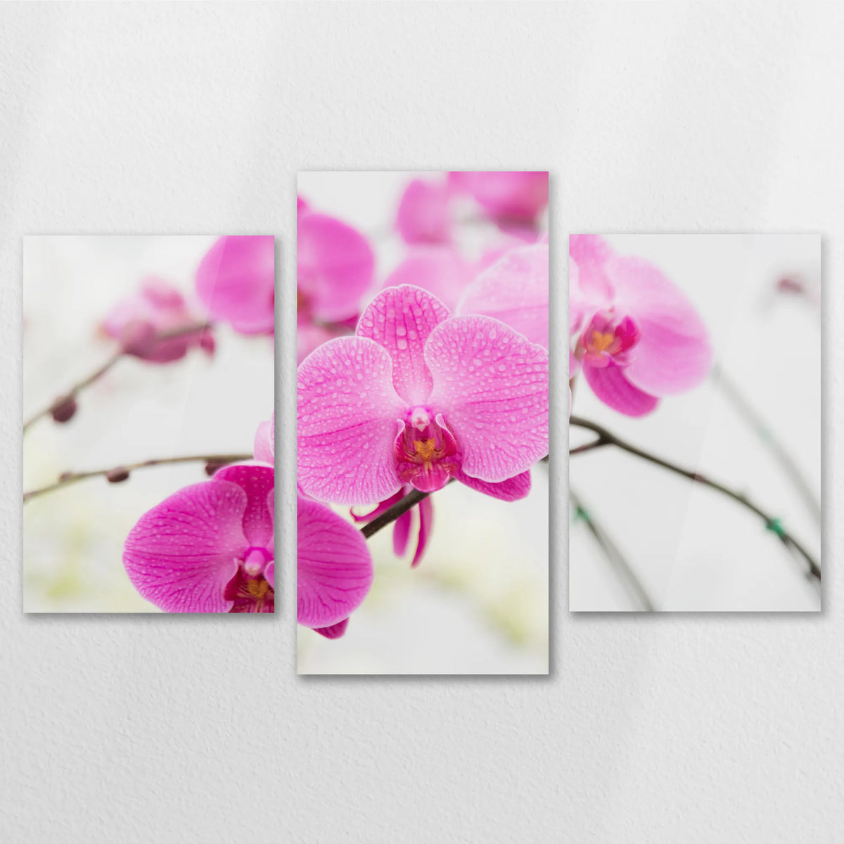 AC-150T100