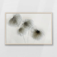 PN-093W062
