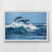 LWW060W040