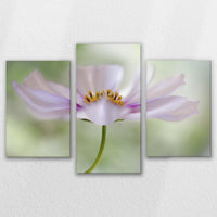 LW-150T100
