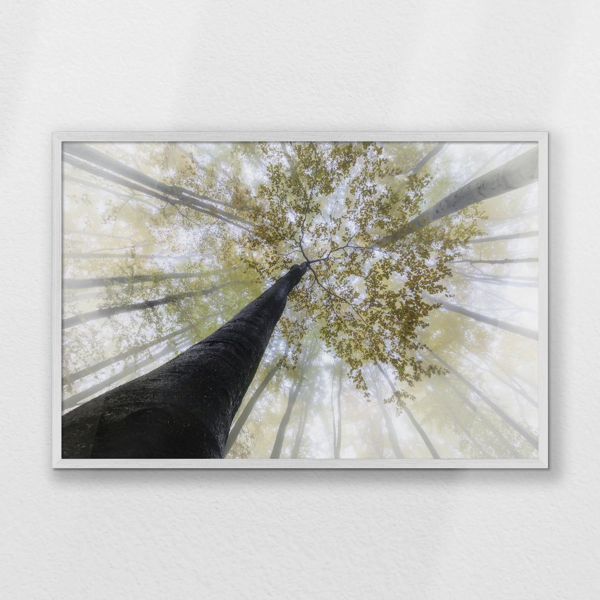 PW-093W062