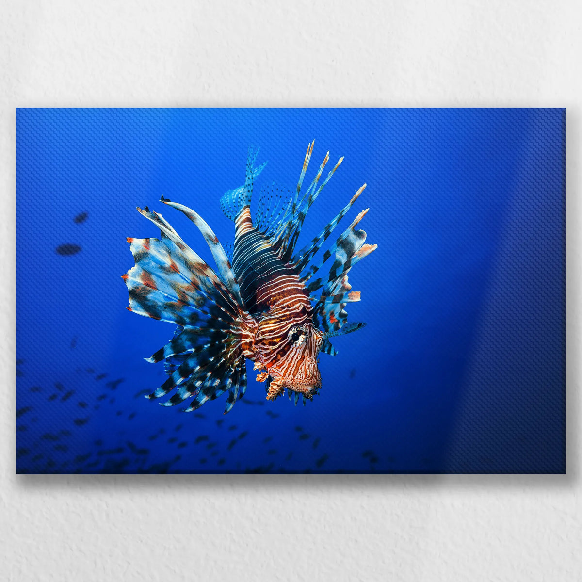 LW-045W030