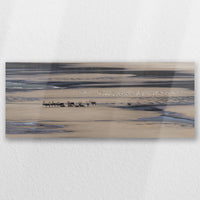 AL-050P020