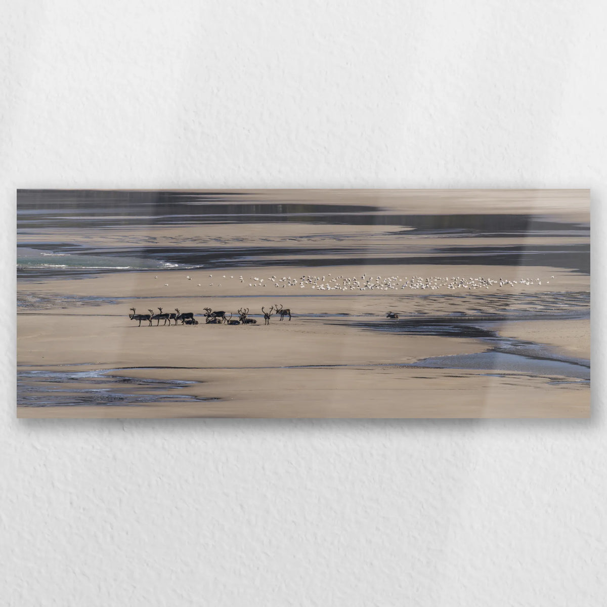 AL-050P020