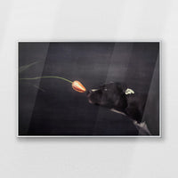 PS-093W062
