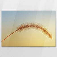AC-075W050
