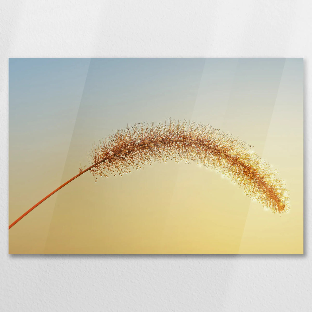 AC-075W050