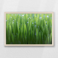 PN-060W040
