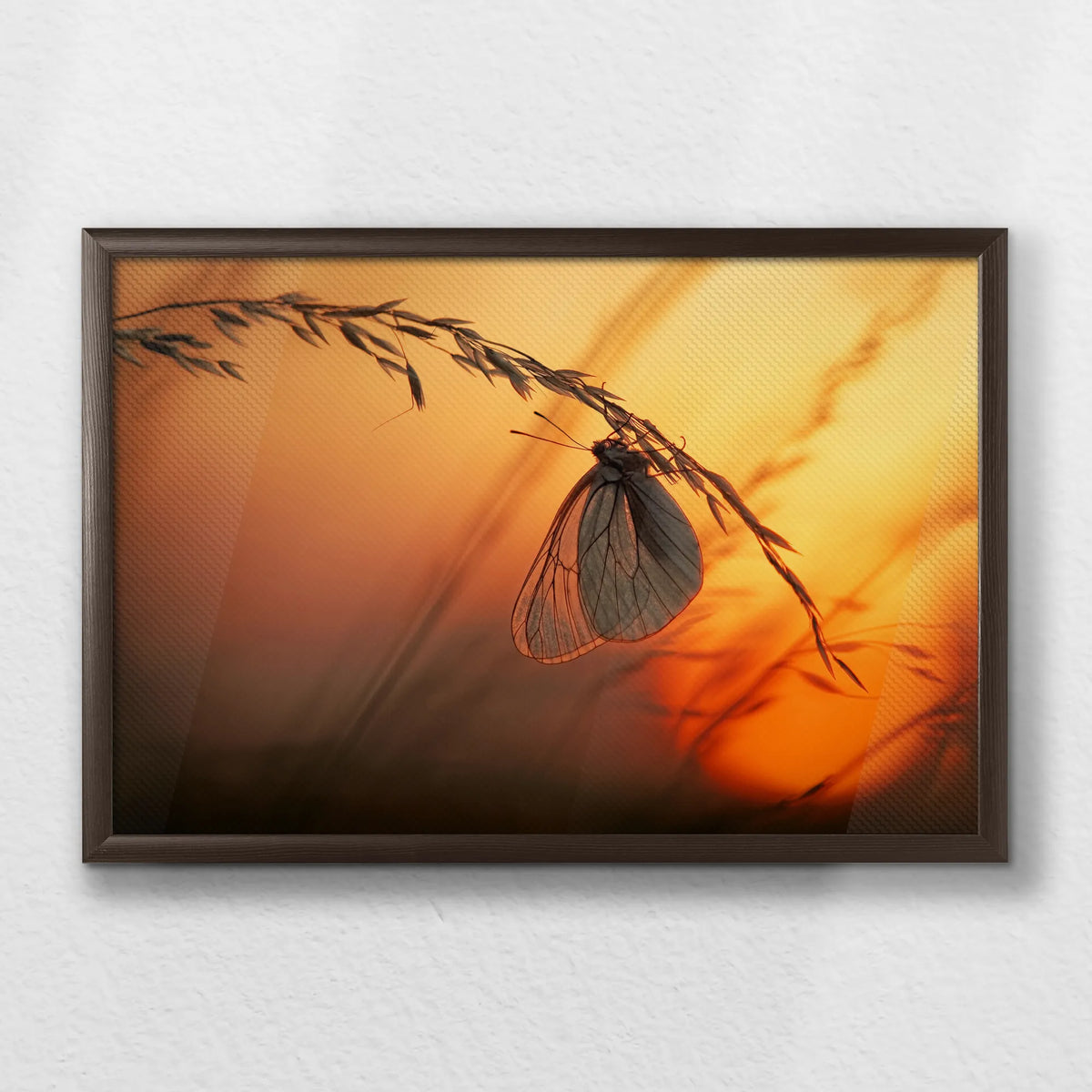 LWN060W040