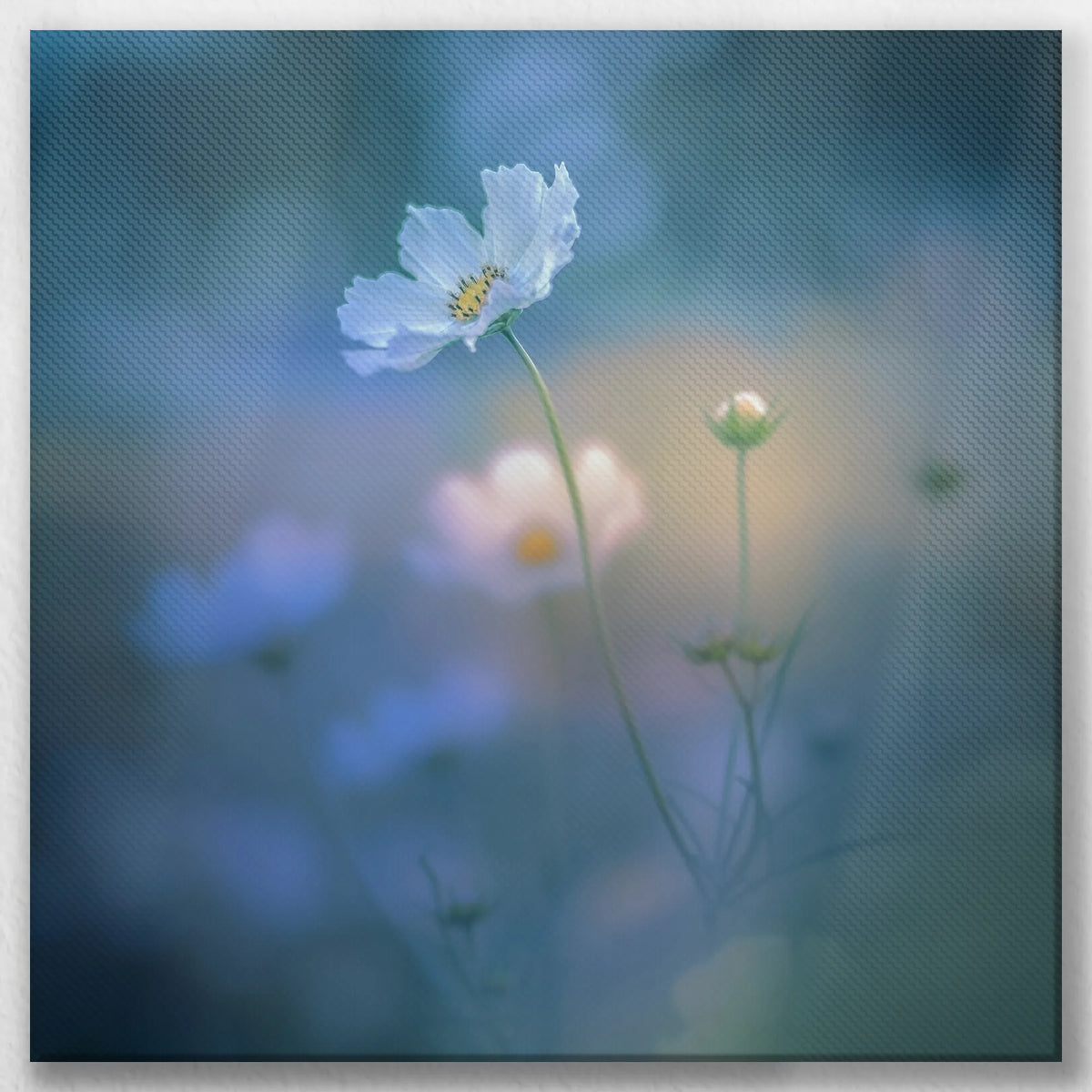 LW-030W030