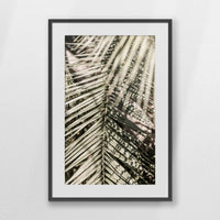 PKP062W093