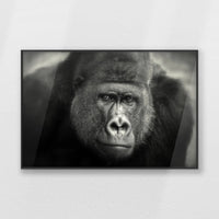 PB-093W062