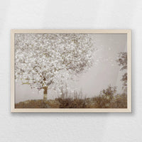 PN-060W040