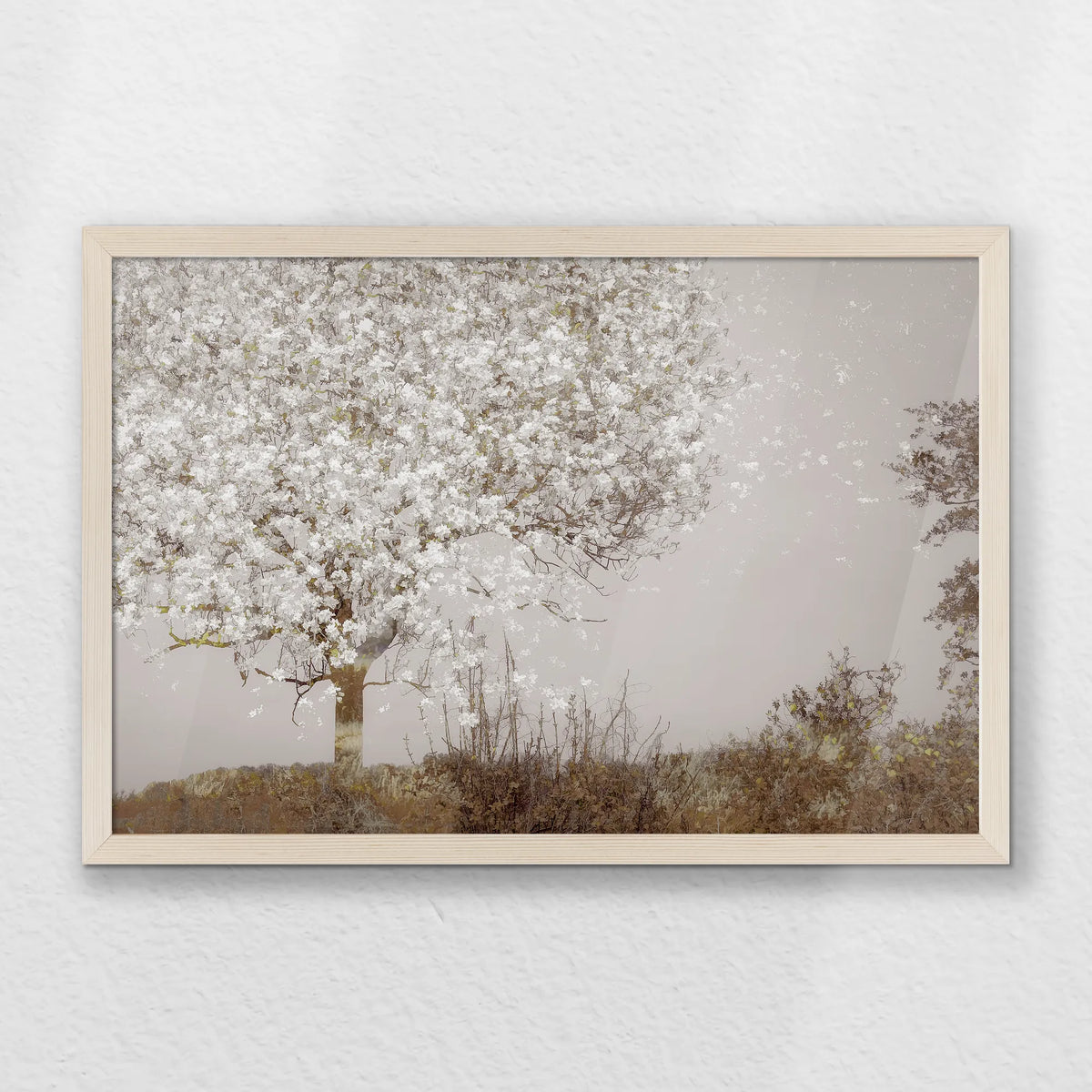PN-060W040
