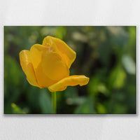 LW-090W060