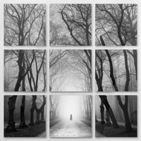 AL-150Z150